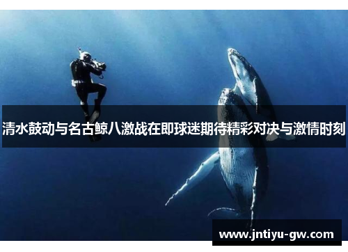 清水鼓动与名古鲸八激战在即球迷期待精彩对决与激情时刻
